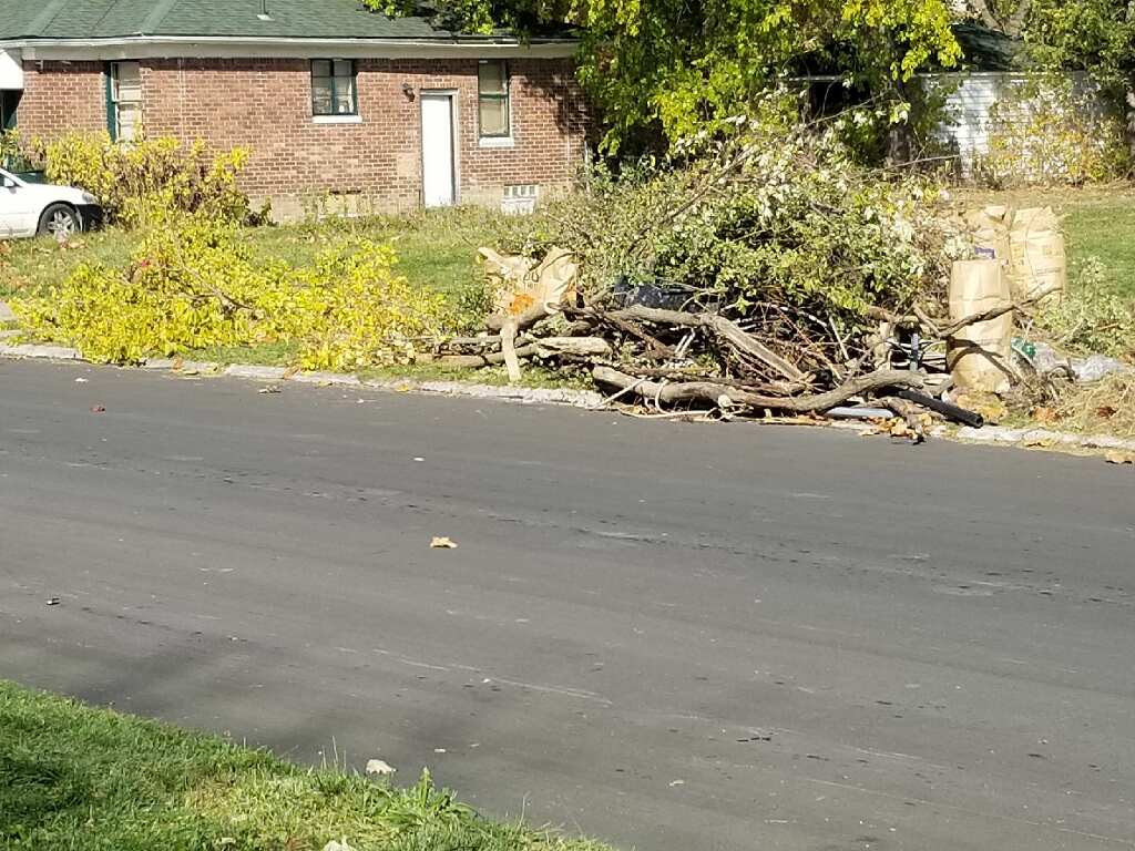 A large pile of tree cuttings, bagged leaves, and branches lie next to a dark paved road, ready for pick up.